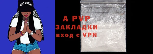 mdpv Богданович